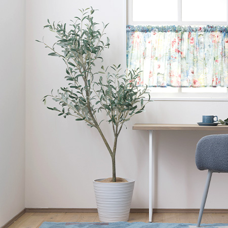 自由にスタイルを変えられる 3WAYオリーブの木